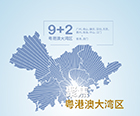 視點觀察