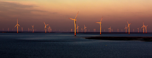 東海上風電場