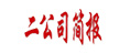 二公司簡報
